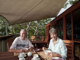 Tamborine Mountain Bed and Breakfast Logo and Images