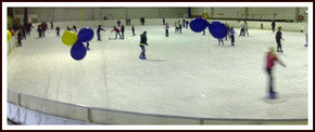 Bendigo Ice Stadium Logo and Images