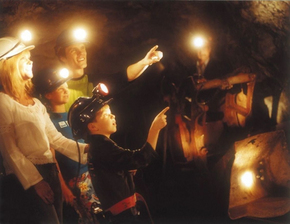 Central Deborah Gold Mine Logo and Images