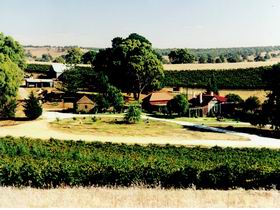 Irvine Wines Logo and Images