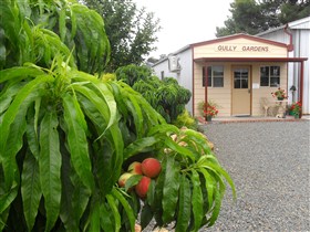 Gully Gardens Logo and Images