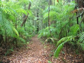 Delicia Road Conservation Park Logo and Images