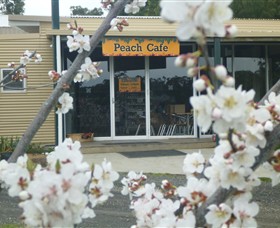 Rayner's Orchard Logo and Images