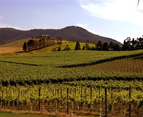 Soumah of Yarra Valley Logo and Images