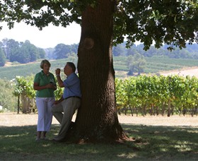 Five Oaks Vineyard Logo and Images