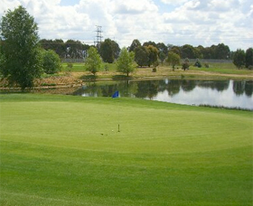 Magpies Belconnen Golf Club Logo and Images