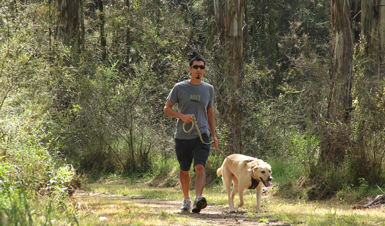 Second Ponds Creek walk Logo and Images
