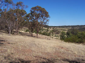 Onkaparinga River National Park Logo and Images