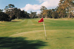 Echunga Golf Club Incorporated Logo and Images