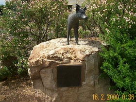 Dingo Statue Logo and Images
