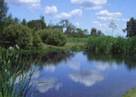 Yan Yean Reservoir Park Logo and Images