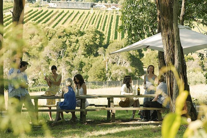 1 Day Mornington Peninsula Wine and Food Tour Logo and Images