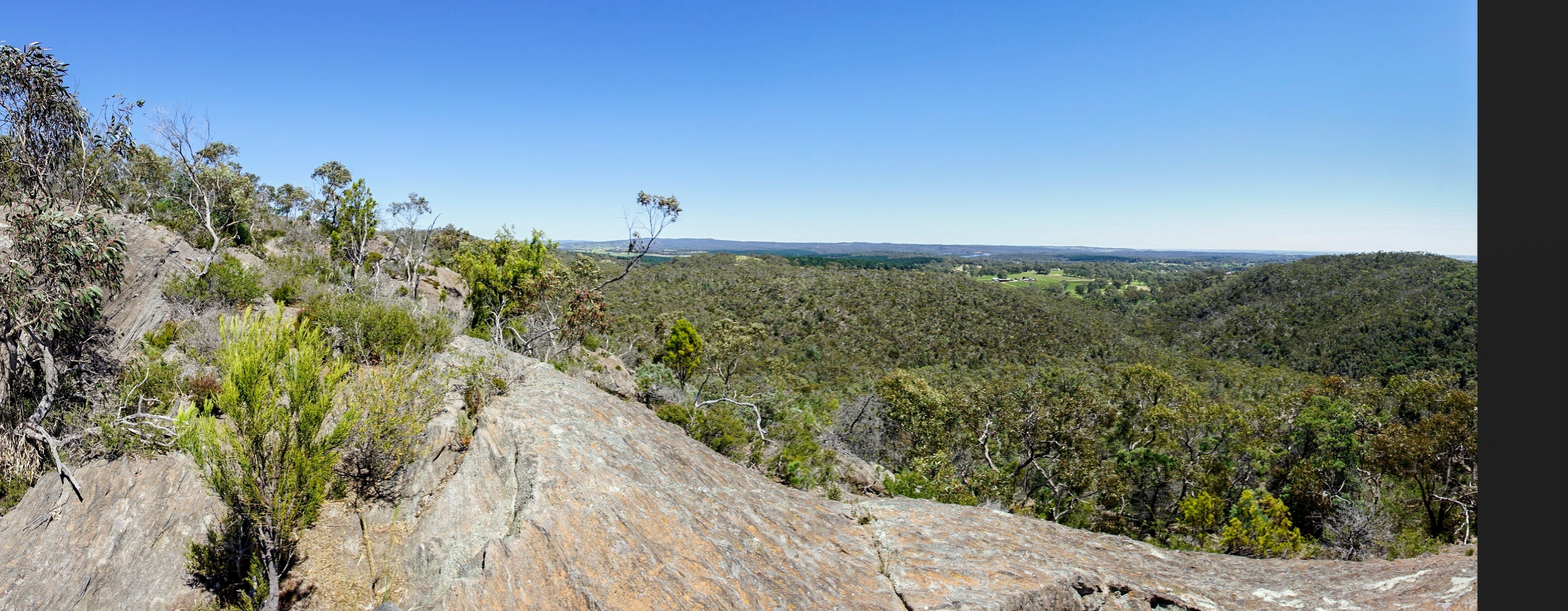 Hale Conservation Park Logo and Images