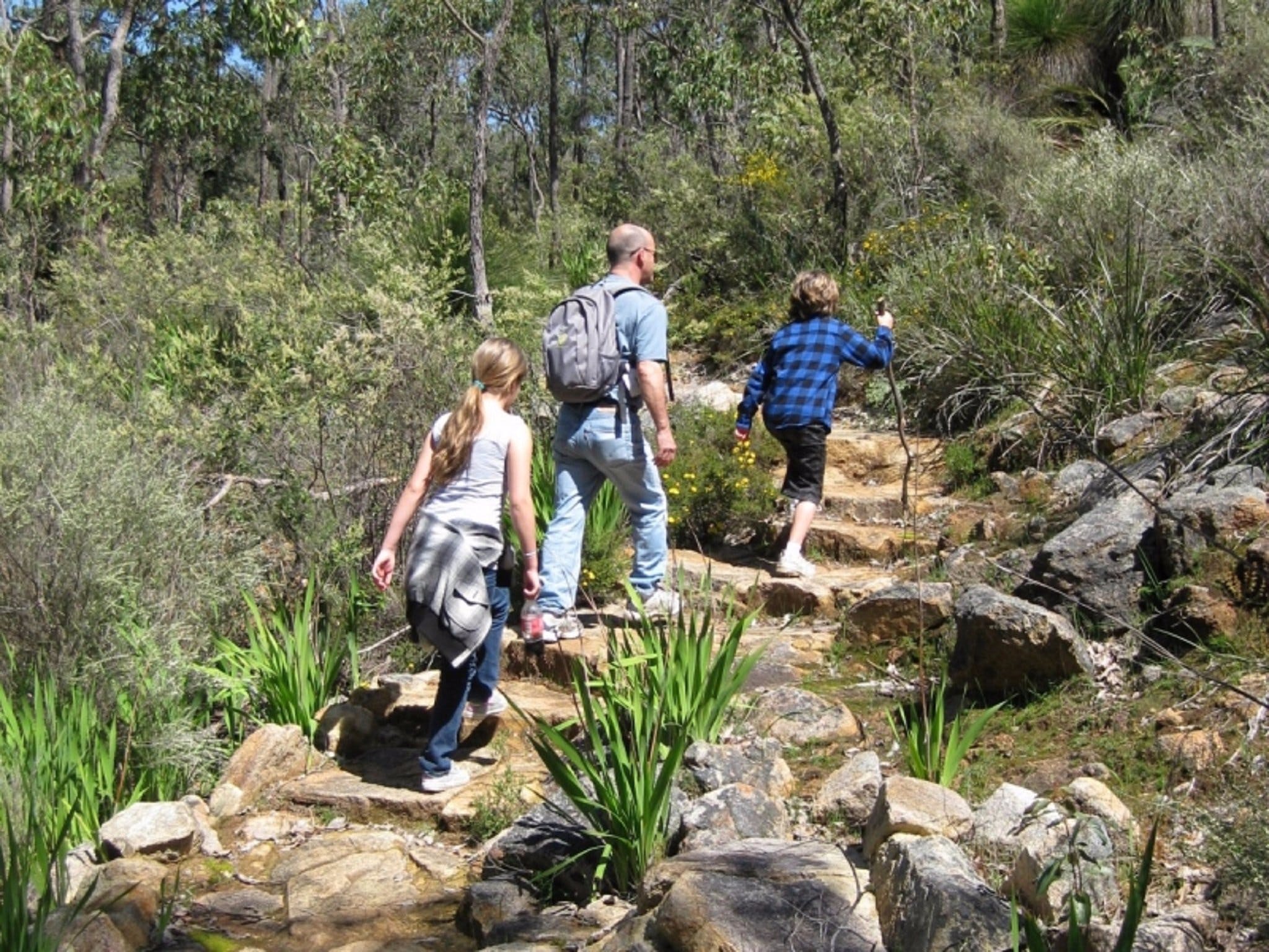 Kitty's Gorge, Serpentine National Park Logo and Images