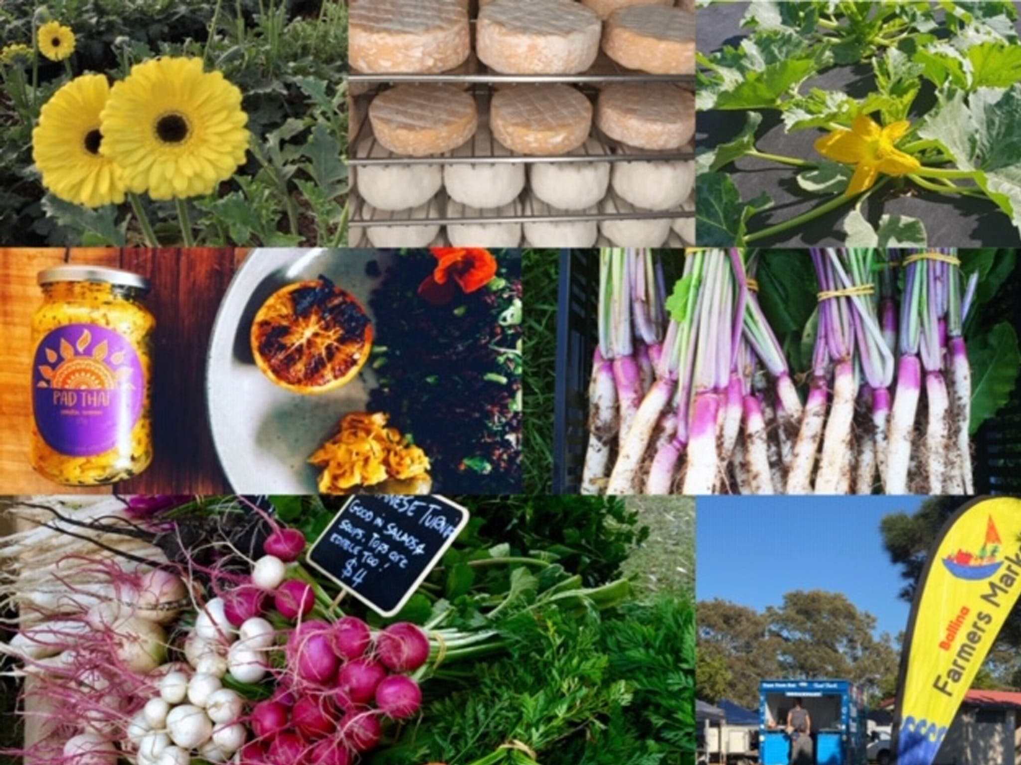 Ballina Farmers Market Logo and Images