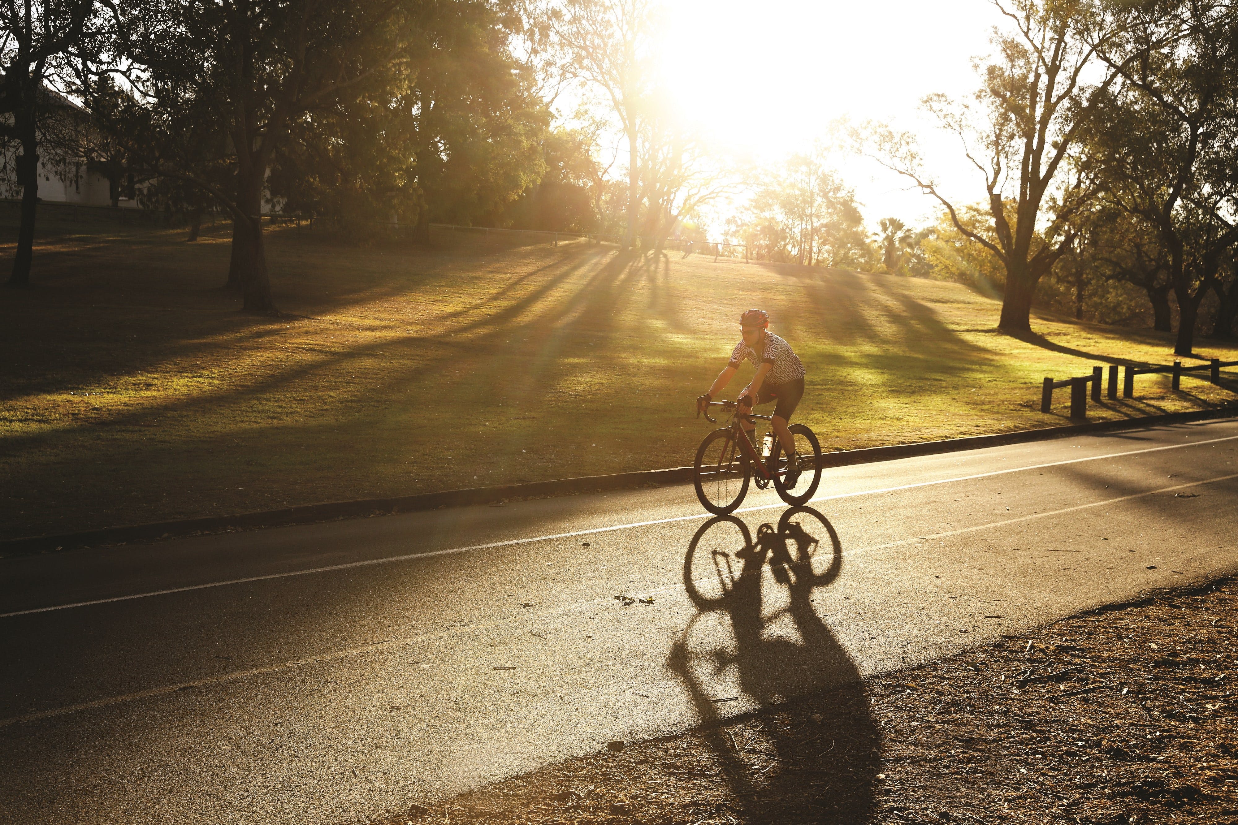 Parramatta River Cycleway Logo and Images