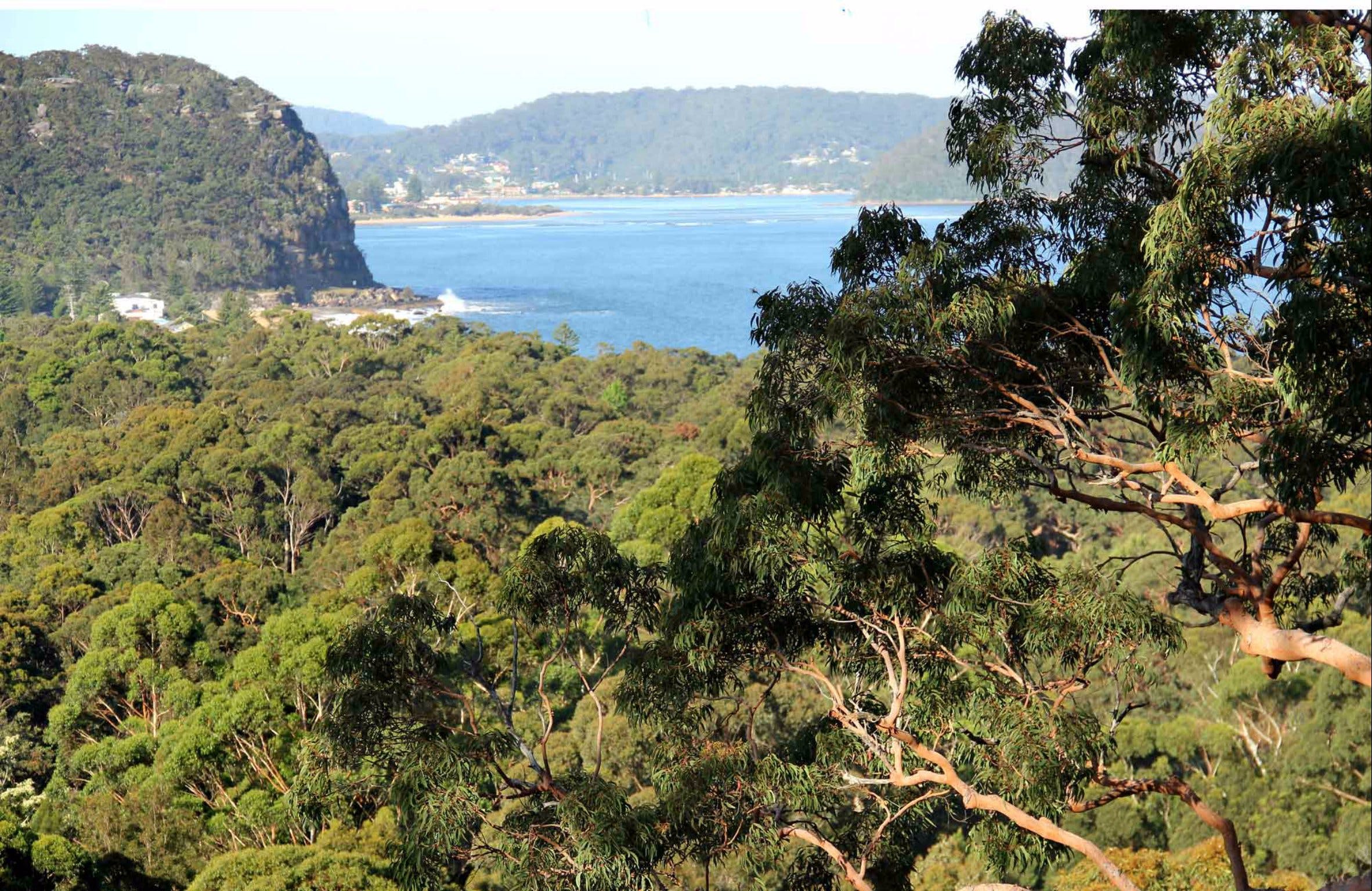 Patonga to Pearl Beach Walking Track Logo and Images