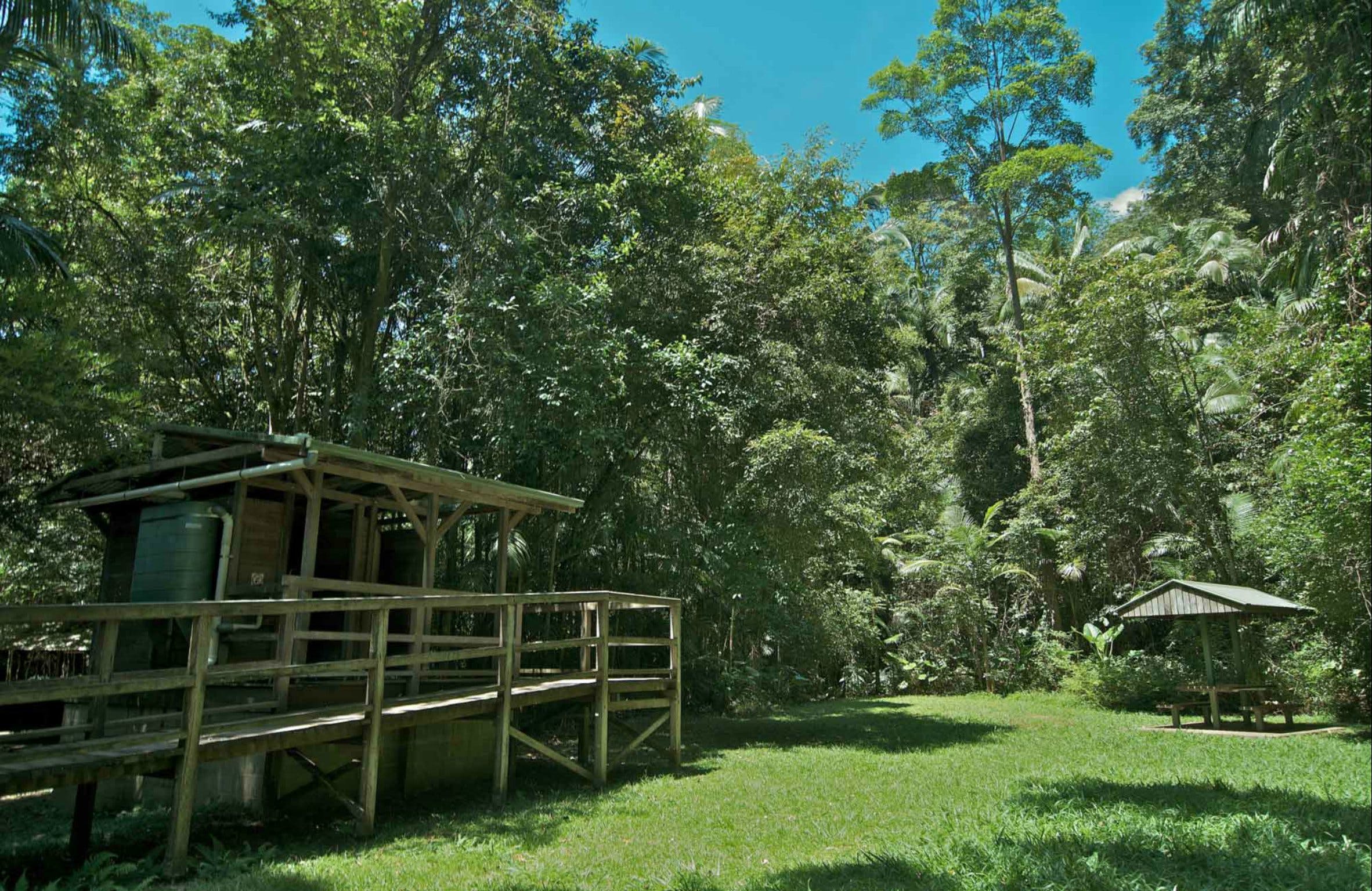 Terania Creek Picnic Area Logo and Images