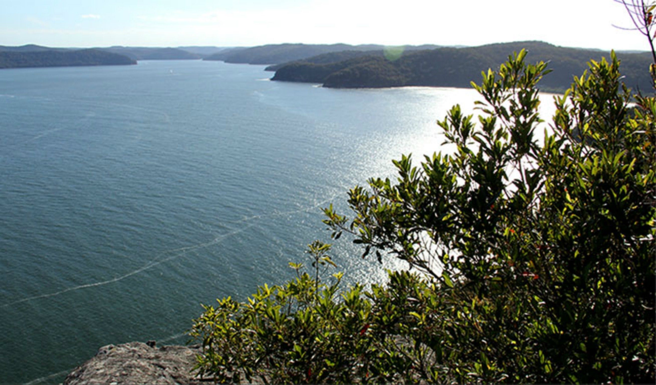 Warrah lookout Logo and Images