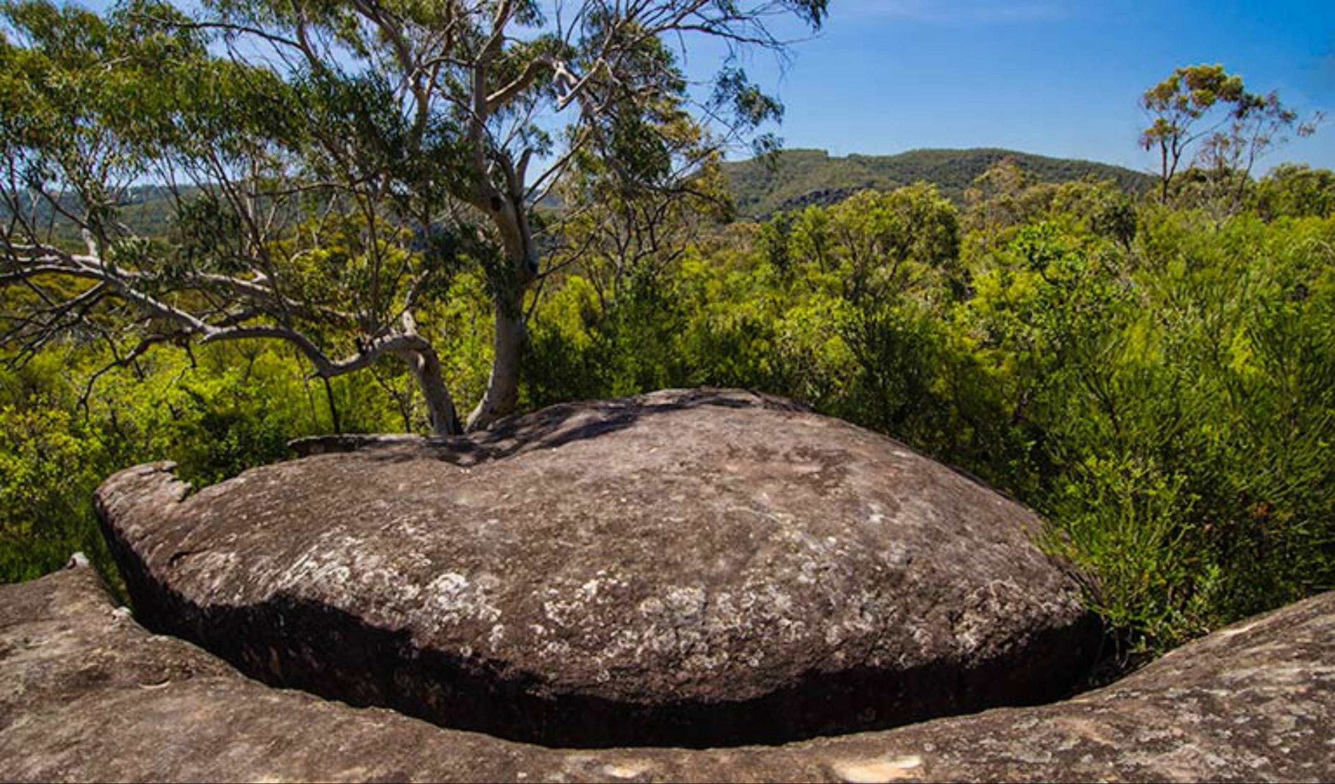 Marramarra Ridge to Smugglers Ridge walking track Logo and Images