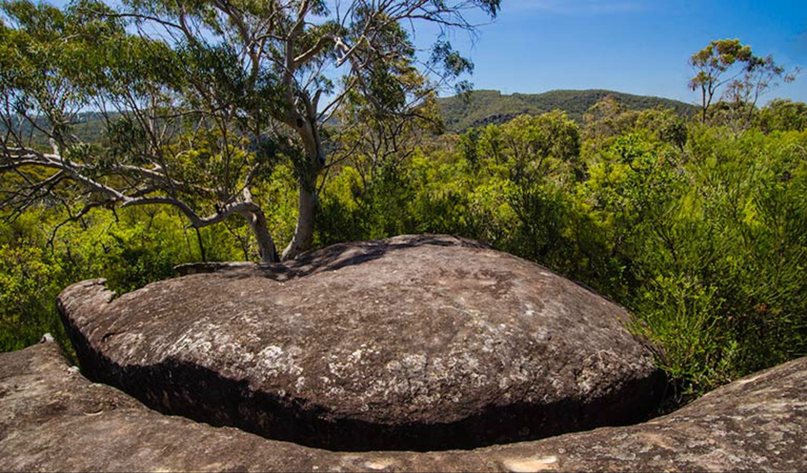 Marramarra Ridge to Smugglers Ridge walking track Logo and Images