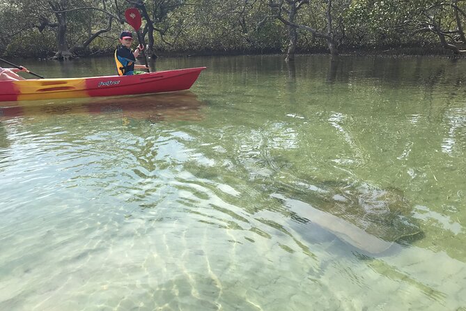 2-Hour Rental Kayak Double in Brunswick River Logo and Images