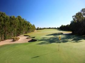 Pelican Waters Golf Club Logo and Images