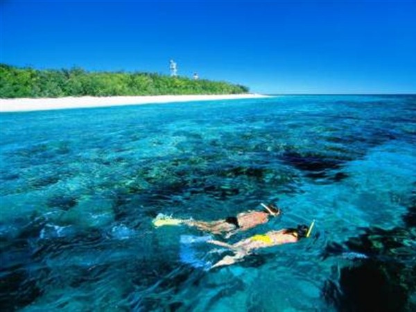 Lady Elliot Island Eco Resort - Day Trip Logo and Images