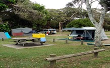 Woody Head Camping Reserve Logo and Images