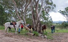 Hidden Valley Farm Logo and Images