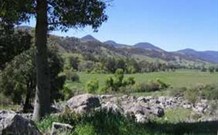 Woolshed Hill Estate Logo and Images