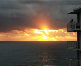 Ocean Royale Apartments Logo and Images