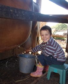 Brockhurst Farm Farmstay and Retreat Logo and Images