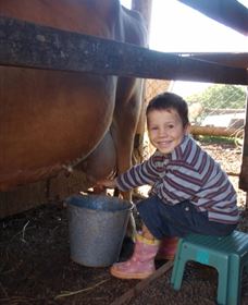 Brockhurst Farm Farmstay and Retreat Logo and Images