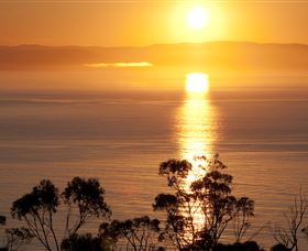 Bruny Shore Logo and Images