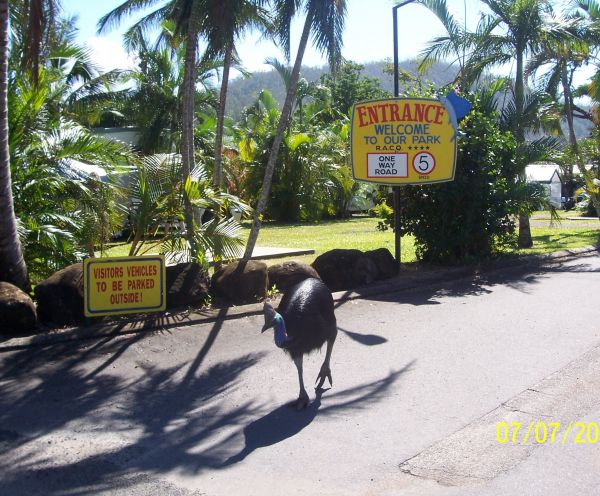 Flying Fish Point Tourist Park Logo and Images