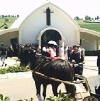 Hunter Valley Horses Logo and Images