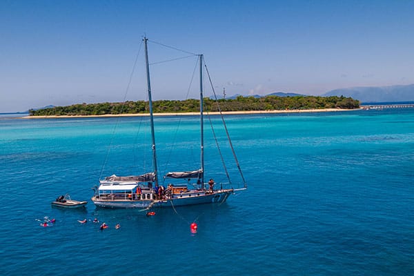 Cairns Premier Reef and Island Tours - Ocean Free & Ocean Freedom Logo and Images