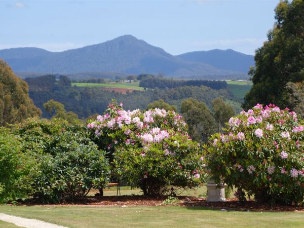 Bed and Breakfast @21 Logo and Images