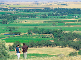 Barossa Best Bed and Breakfast Logo and Images