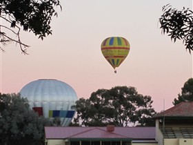 Barossa Valley Tourist Park Logo and Images