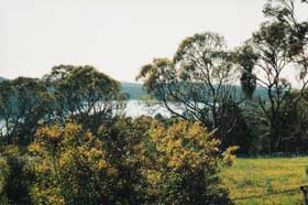 Kooringal Homestead Logo and Images