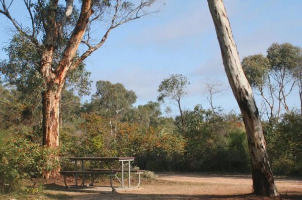 Drummonds Camp at Avon Valley National Park Logo and Images