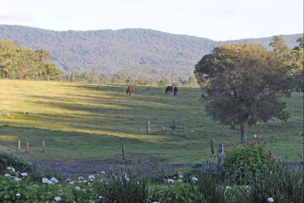 Wallaby Cottage Logo and Images