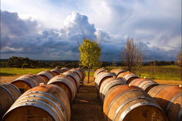 Barossa Chateau Logo and Images