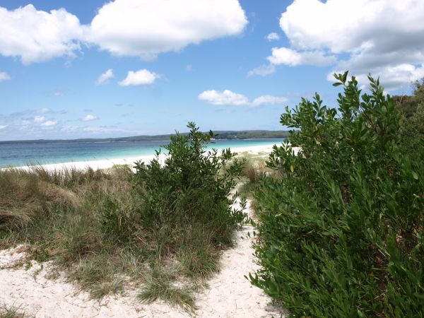Hyams Beach Holiday Apartment Logo and Images