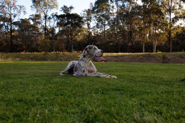 Hunter Valley Retreat Logo and Images