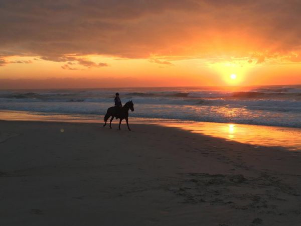 Tassiriki Ranch Beach Horse Riding and Holiday Cabins Logo and Images