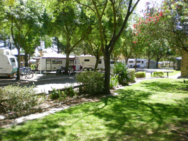 Barossa Valley SA Tourist Park Logo and Images