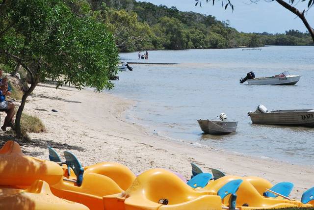 Blue Dolphin Holiday Resort Logo and Images